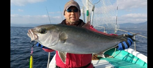 カンパチの釣果