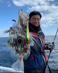 マトウダイの釣果