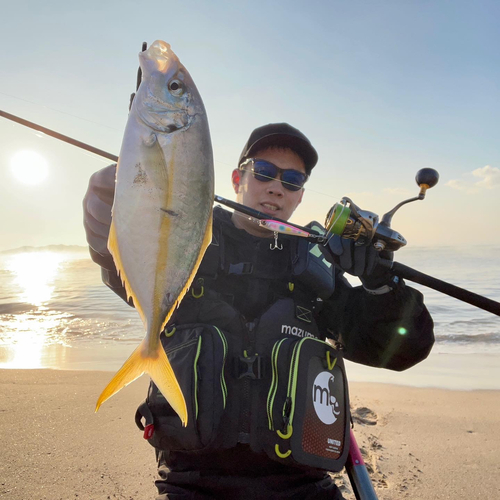 シマアジの釣果