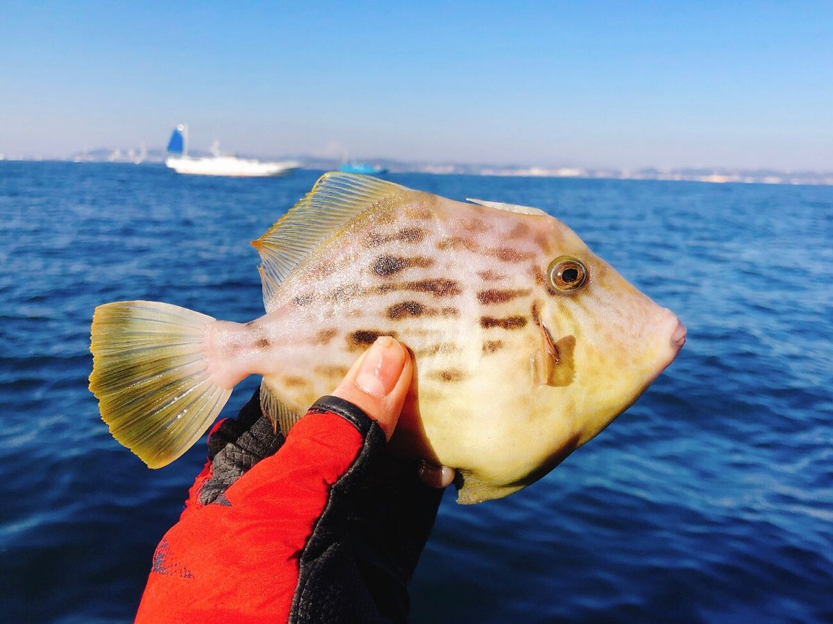 りりかさんの釣果 2枚目の画像