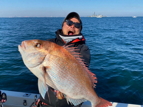 マダイの釣果