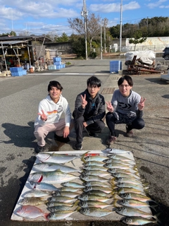 マアジの釣果