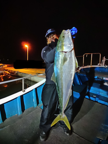 ブリの釣果