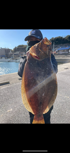 ヒラメの釣果