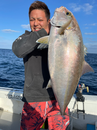 カンパチの釣果