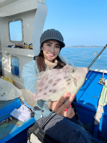 カワハギの釣果