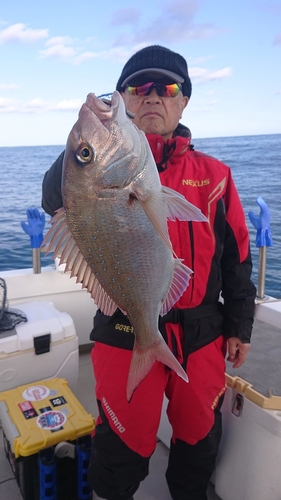 タイの釣果