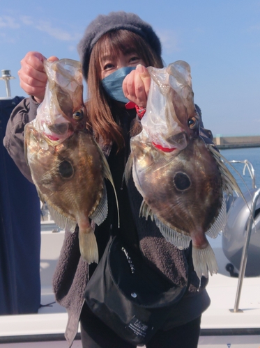 マトウダイの釣果