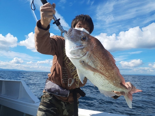 マダイの釣果