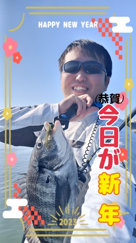 チヌの釣果