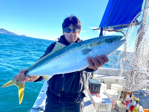 ワラサの釣果