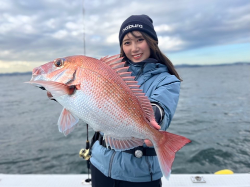 マダイの釣果