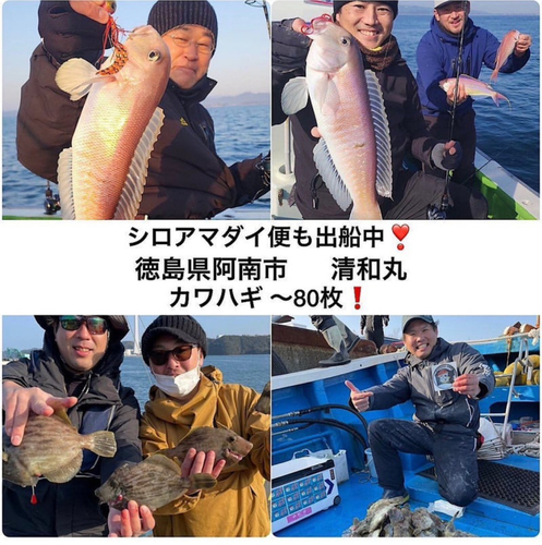 カワハギの釣果