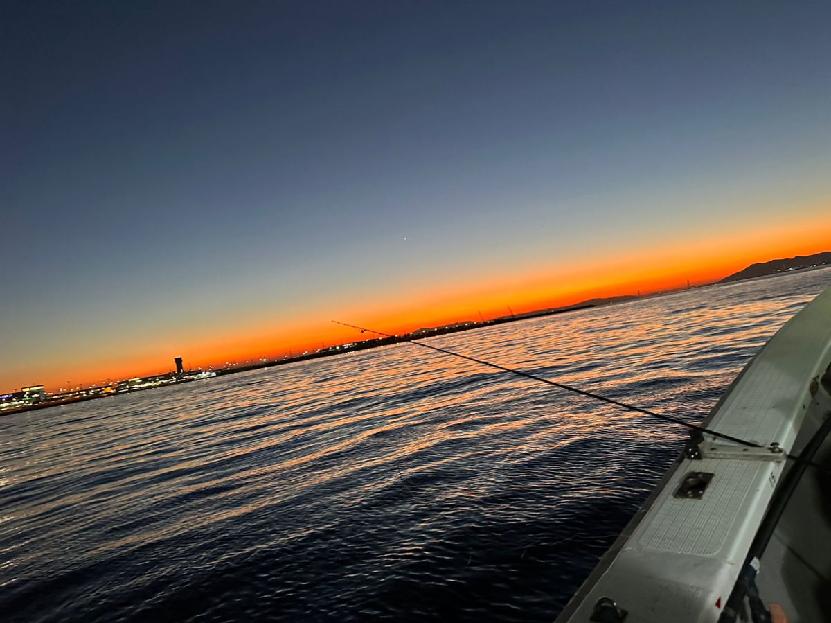 boat angler osetoさんの釣果 3枚目の画像