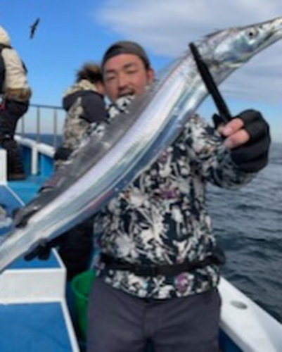 タチウオの釣果