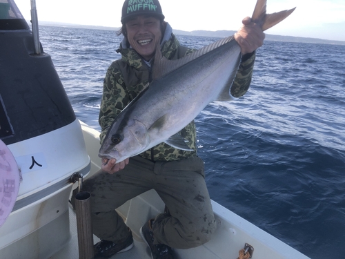 カンパチの釣果