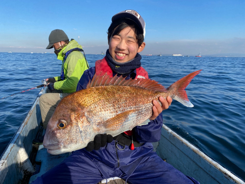 マダイの釣果