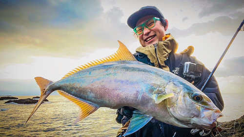 ヒレナガカンパチの釣果