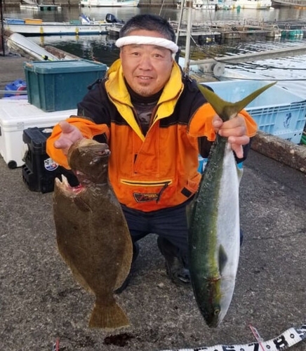 ワラサの釣果