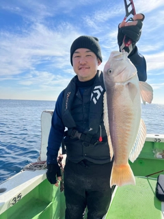 シロアマダイの釣果