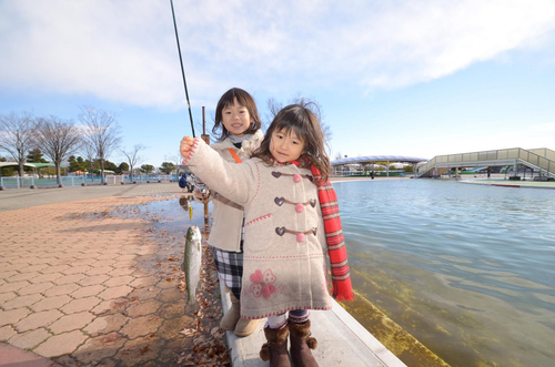 ニジマスの釣果