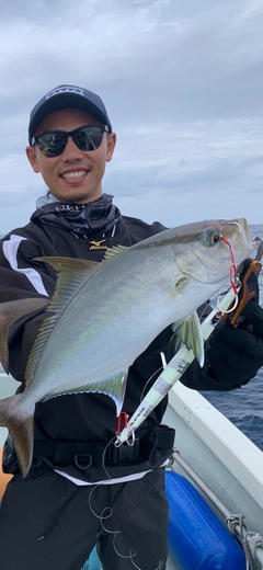 カンパチの釣果