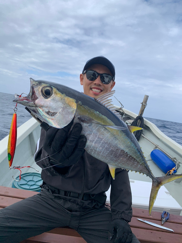 キハダマグロの釣果