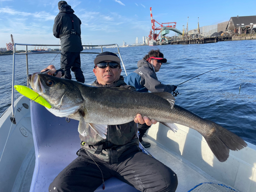 シーバスの釣果