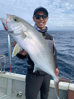 カンパチの釣果