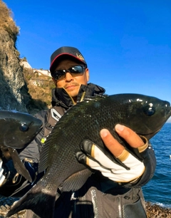 クチブトグレの釣果