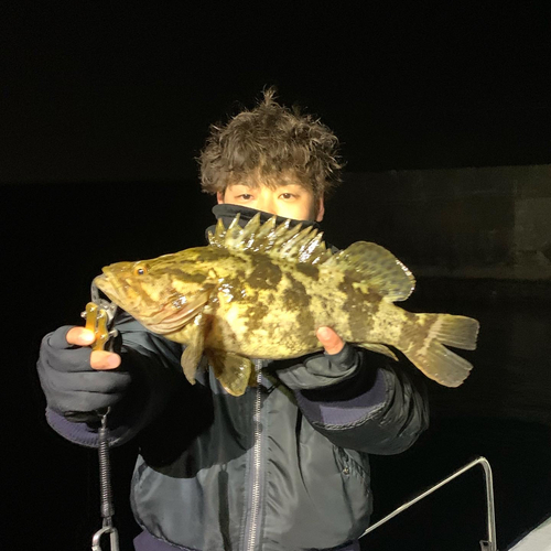 タケノコメバルの釣果