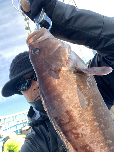 マハタの釣果