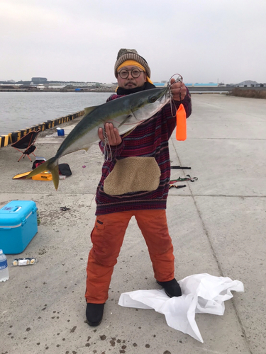 メジロの釣果