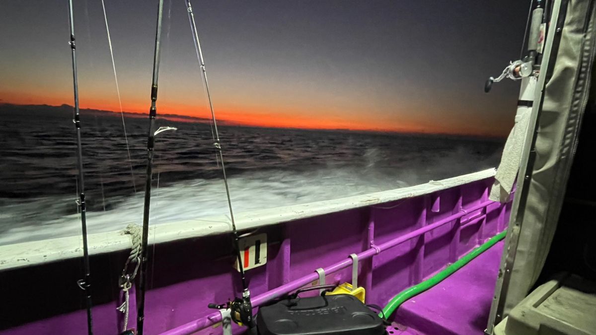 あかねん🎣さんの釣果 2枚目の画像