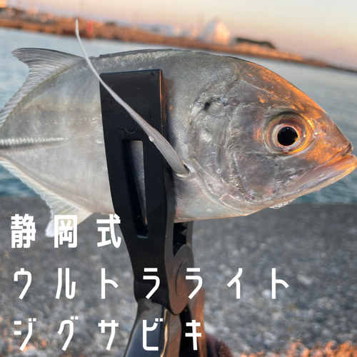 メッキの釣果