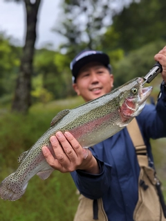 ニジマスの釣果