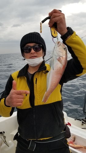 シロアマダイの釣果