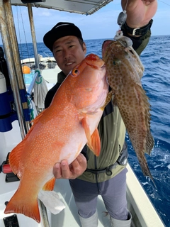 アカジンミーバイの釣果