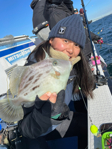 カワハギの釣果