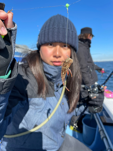 オニカサゴの釣果