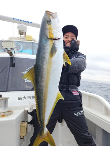 ヒラマサの釣果