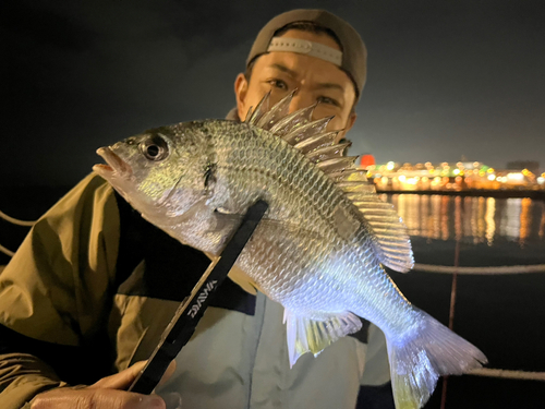 キビレの釣果