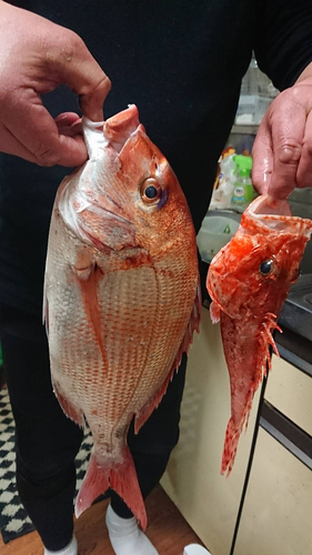 タイの釣果