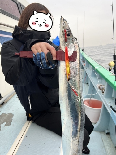 タチウオの釣果