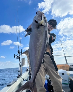 ヒレナガカンパチの釣果