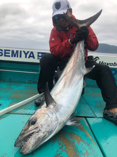 イソマグロの釣果