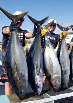 キハダマグロの釣果