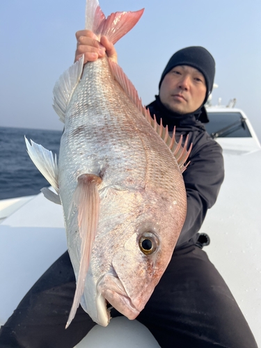 タイの釣果