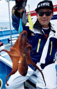 マダコの釣果