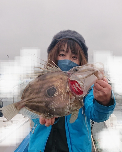 マトウダイの釣果